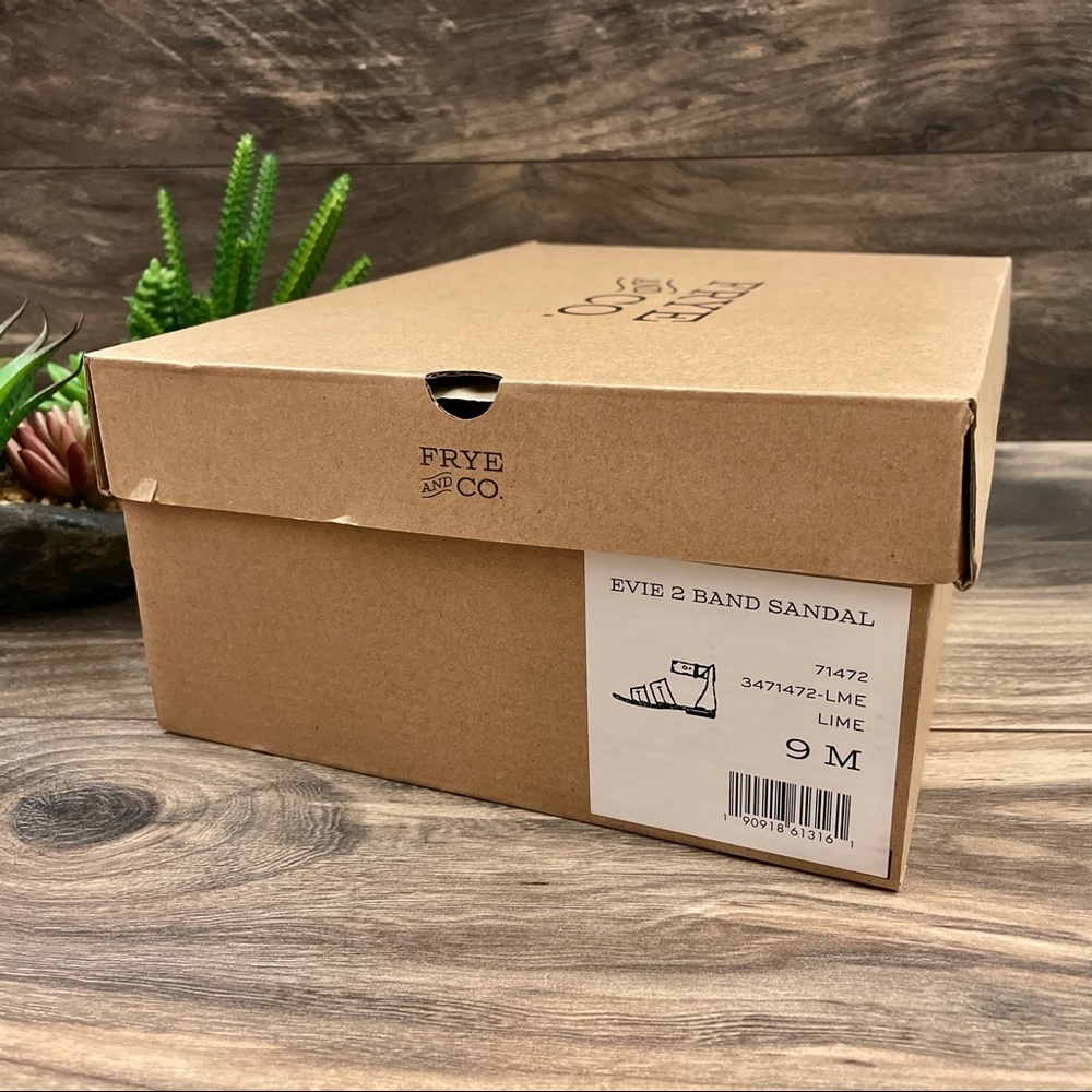 NIB Frye and Co. Evie 2 Band Flat Boho Sandal - Picture 13 of 13